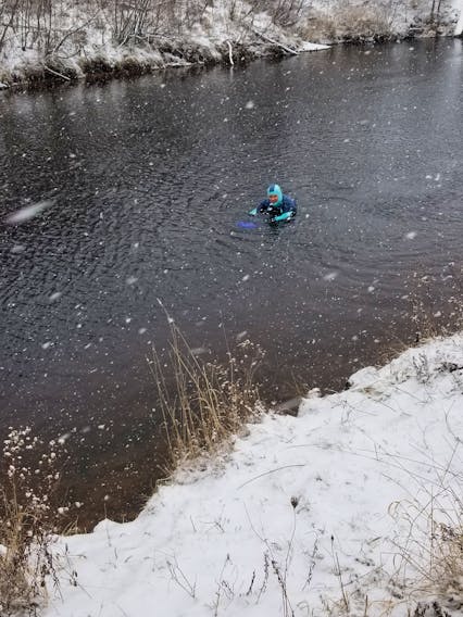 I'm sure this must have been as cold as it looks.   

Here's what Dianne Looker had to say about it: "My first swim of the new year – in the nearby Gaspereau Canal. It was cool: a temp minus 1; water about plus 2. The current was incredibly strong, so it was hard work. I had a wetsuit and heated vest to keep me warm, but still…first time I've ever been swimming while the snow was falling…" 

Dianne, you are braver than I!  Happy New Year!