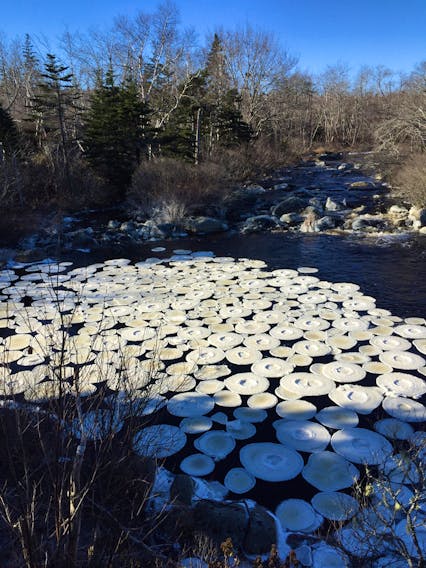 These pancakes are best served cold! Brian Duffy came across this serving of pancake ice in Herring Cove NS.  Cold air temperatures, cold moving water with just enough sway to slosh around the slush ...and you have another marvel of Nature.