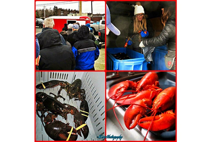 Greetings from Sylvie Theriault:

“Happy New Year Cindy! Here's a little montage of photos I took this morning, Dec 31. At the nearing of a New Year, a Nova Scotia tradition: fresh lobster! There was a line up at 2 Boy's Smokehouse & Deli in Cole Harbour this morning. It was some chilly but worth the 20-minute wait.”