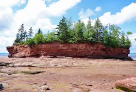 There is so much to see and do in our very own backyards. Last Sunday, Phil Vogler took a drive to Burntcoat Head NS.  This lovely area, on the shores of the Bay of Fundy, is known internationally as the site where the highest tides in the world have been recorded.  The extreme high tide mark is close to 54 feet or 16.5 metres.