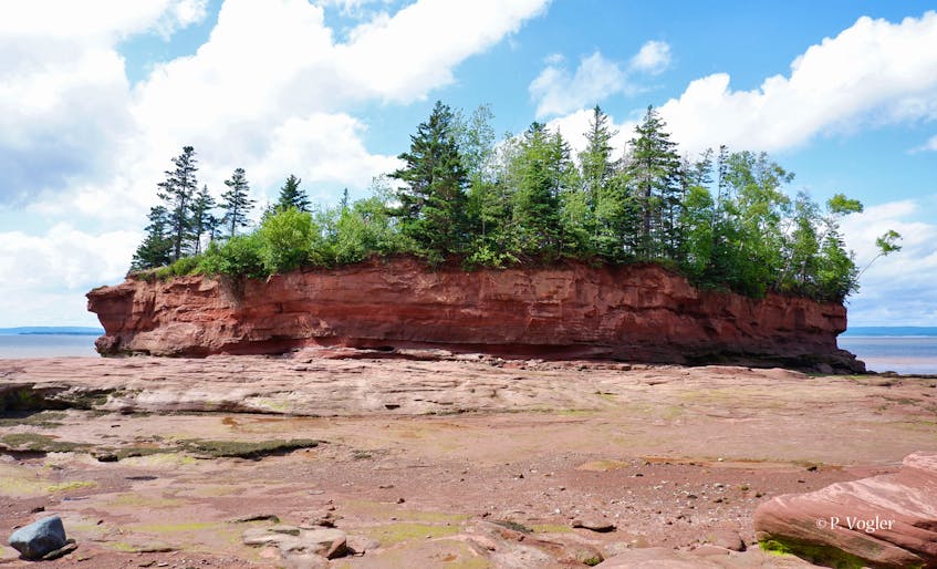 There is so much to see and do in our very own backyards. Last Sunday, Phil Vogler took a drive to Burntcoat Head NS.  This lovely area, on the shores of the Bay of Fundy, is known internationally as the site where the highest tides in the world have been recorded.  The extreme high tide mark is close to 54 feet or 16.5 metres.