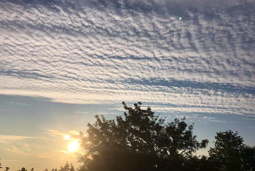 There was quite a display in the sky over Black Rock in Kings county NS on Wednesday.  Scott West recognized this as a “mackerel” sky”.  He wondered why …since his wise grandmother always told me if there was a mackerel sky, to expect rain in 24 hours.
Depending on where you live that expression can vary.  My grandmother used to say: “Mackerel sky – never long wet, never long dry.  
All week, we’ve watched a parade systems travel off the Atlantic coast.  The proximity of these created high altitude atmospheric waves – aka – rows of cirrocumulus or a mackerel sky.