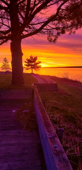 There’s no place like home – especially when mornings can look like this.
Susan Gardiner is happy to be back in Cape Breton and has been admiring and photographing some spectacular sunrises. This photo was taken one-day last month as the sun was coming over…some beach, somewhere.