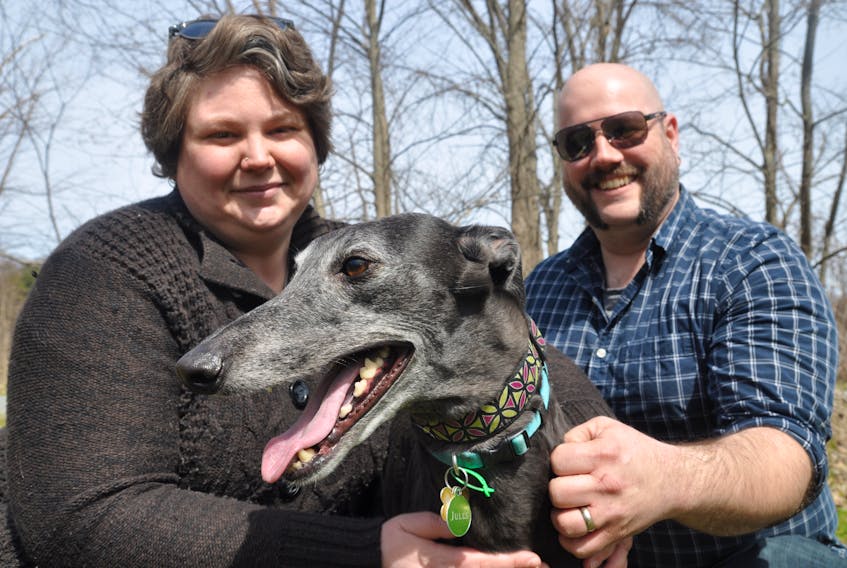 Nicole and Frank Bezanson-Harris and their Greyhound dog, Jules, are spearheading the Kentville Off Leash Dog Park Association’s goal to establish a secure, off-leash park in the Kentville area. The couple took the reins from group founder, Mike Schroeder, who started talks with the town on the park several years ago.