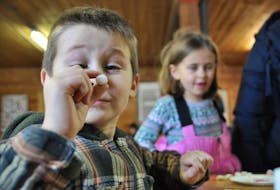 Walker Joshua, six, gets creative at the annual Christmas in the Country event at Scotian Gold in Coldbrook Dec. 1 as he designs a Santa Claus craft piece out of a plate, construction paper, marshmallows and glue. “These are so tiny,” he said, holding a marshmallow in the air.