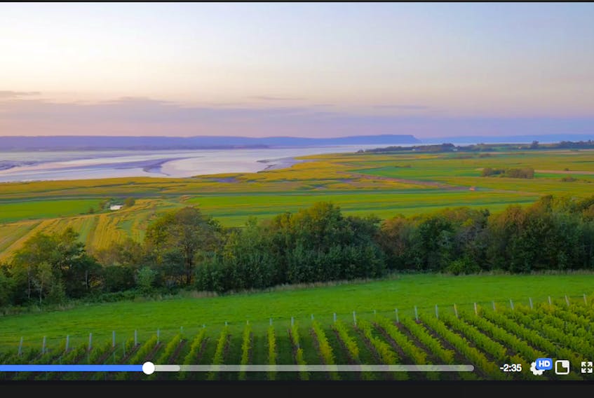 Wolfville's beautiful vistas, which include hillsides covered in vineyards and the iconic Blomidon looming over the Minas Basin, are showcased in the Do It In Wolfville's Wolfville 125 video, which celebrates the town's storied past and present.