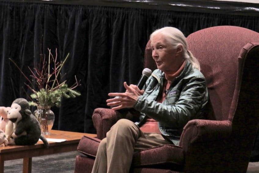 Jane Goodall shared her story – and key messages for the future – with a captivated crowd in Wolfville’s Festival Theatre April 8.