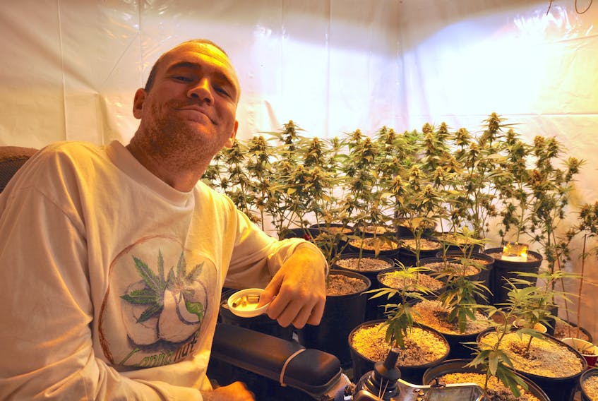 Alex LeBlanc is growing cannabis plants for his own consumption, and as he awaits licensing to become a designated grower.