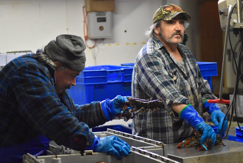 Cameron Seafoods Company employees Frank Spencer and Gordon Geswein work in the Hall’s Harbour-based packing and grading facility.