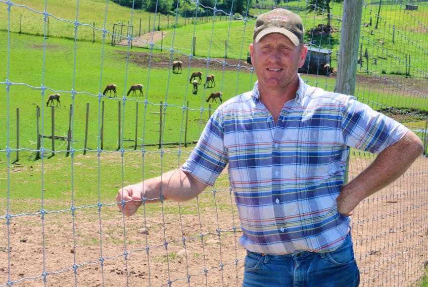 Wayne Oulton, who returned to the family farm in the late 1990s after attending two agricultural colleges, has been helping promote and grow Oulton's Meats and Martock Glen Agri-Zoo.