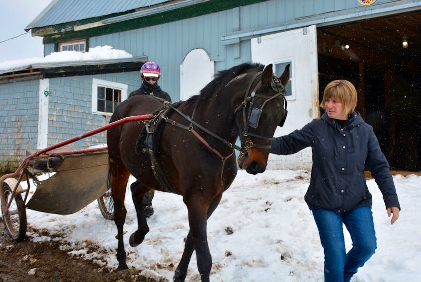 Debbie Francis helps get her son’s horse, Jazzmo, ready to take a spin around the track at Saulsbrook Stables just outside Windsor.