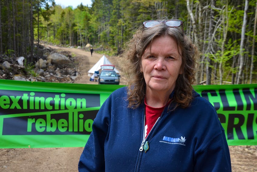 “Certainly the devastation from clear-cutting has been going on on this mountain for a good number of years – in the ball park of at least 30 years,” said local resident Debbie Stultz-Giffin at the site of Corbett-Dalhousie lakes where an old growth forest will be cut down. “But certainly the last four or five years it’s ramped up considerably, becoming much more noticeable, certainly in broad view of the road and people passing by. People are getting fed up with these atrocities and the blatant abuse of our forests.”