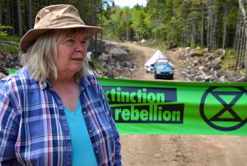Olga Comeau is with Extinction Rebellion Forest Protectors and hopes a presence at Corbett Lake will halt harvesting of an old, biodiverse forest that the province has contracted to WestFor Management Inc. for harvesting.