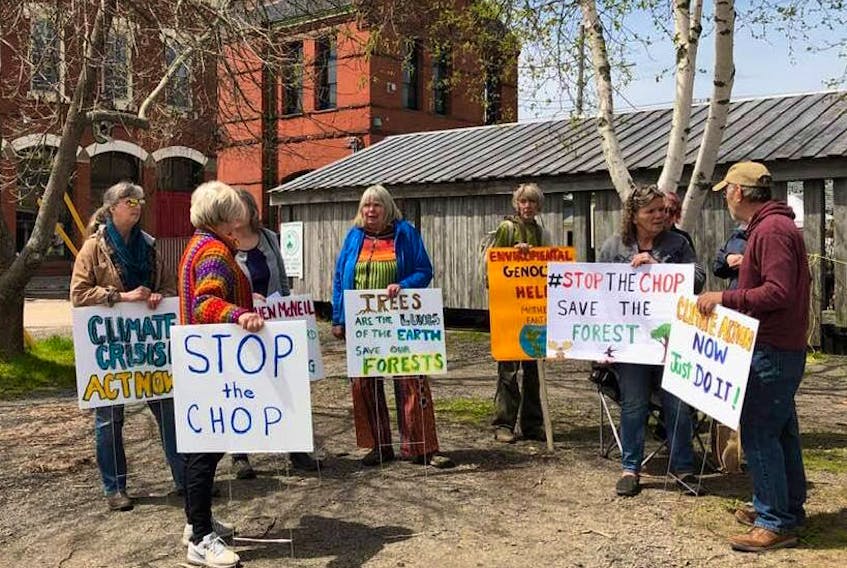 Members of Extinction Rebellion met at Market Square in Annapolis Royal May 19 to make people aware of planned harvests at a biodiverse area between Corbett and Dalhousie lakes south of Bridgetown. The XR Forest Protectors are on standby to go to the 80-hectare site to try to halt the harvest at the first signs of activity.