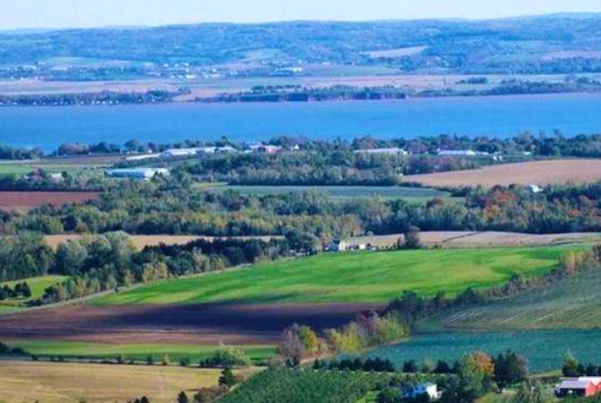 The view from the Look Off, where you can see a sizeable portion of the eastern Annapolis Valley. The region is hoping to receive an international designation that could bring economic growth.