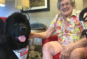 Four-year-old Newfoundland dog Darcie mingles with Eleanor Aalders at the Grand View Manor in Berwick.