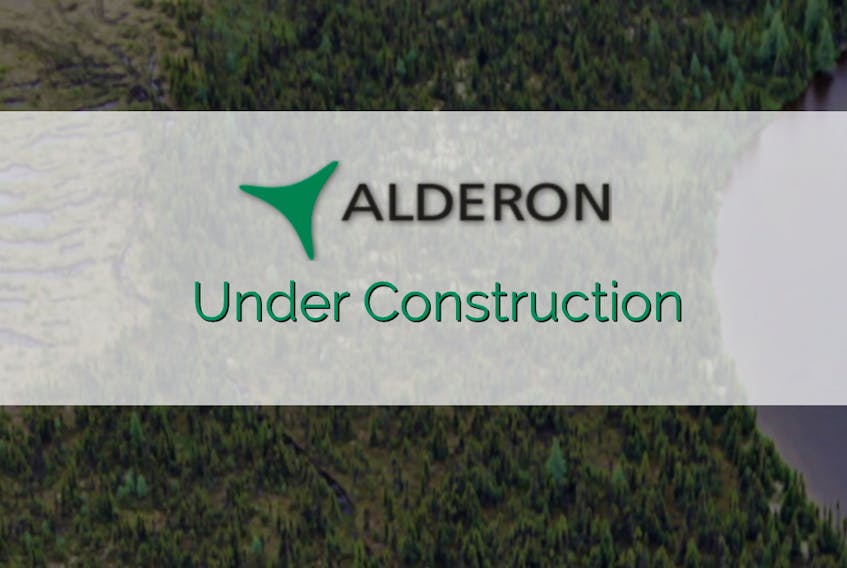 The website for Alderon was down as of April 28. - FILE PHOTO