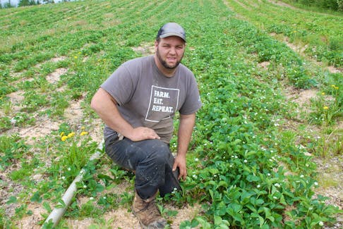 Chris Oram at his farm in Wooddale on June 29.