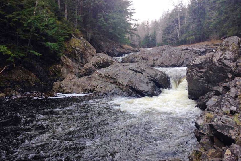 The Middle River is known to be a spawning ground for trout and salmon.