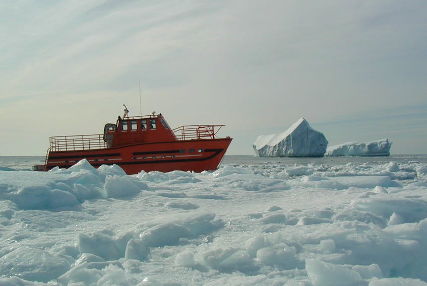 Danny O'Brien of St. John's, N.L., stood on an ice floe off of Twillingate to take this photo.
