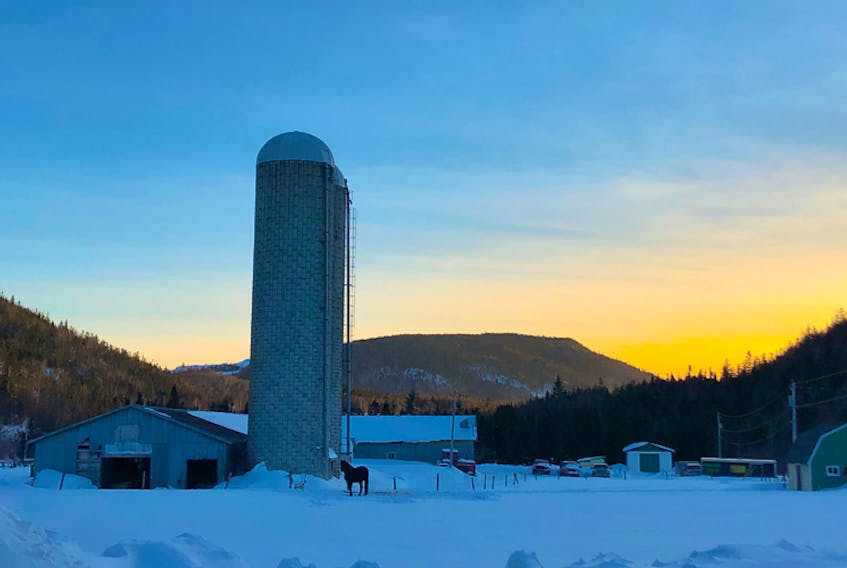 I could stare at this all day! Krista Miller captured this stunning pastoral scene in Hughes Brook - a town nestled at the base of surrounding mountains and only 15 minutes from the heart of Corner Brook NL.