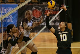 Dalhousie Tigers setter Courtney Baker dumps the ball during action against the Saint Mary's Huskies during the AUS women's volleyball championship at Dalplex on Feb. 28. TIM KROCHAK/ The Chronicle Herald