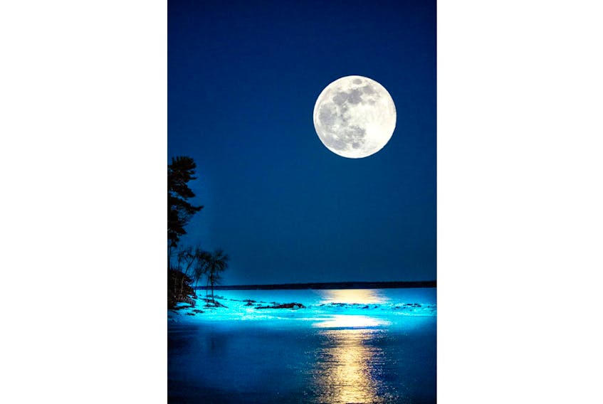 Vanessa Clark took this photo of 2019's "full sap moon" over Grand Lake, N.B.