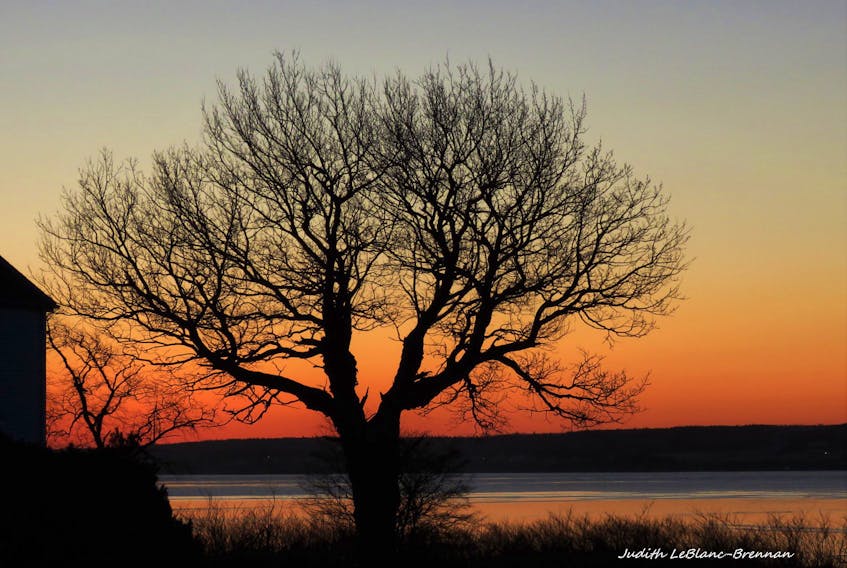 udy Leblanc-Brennan was kind enough to share this stunning sunrise taken March 28 Sydney Mines, N.S.