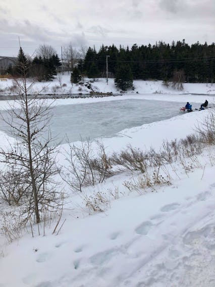 Did you get out to skate this winter?  In some places, the season was short and not ideal.  Conditions looked quite lovely at Power's Pond Park in Mount Pearl, N.L. last week. Harold Sheppard snapped this very Canadian photo. Harold says he doesn't know if the ducks had a game or not.