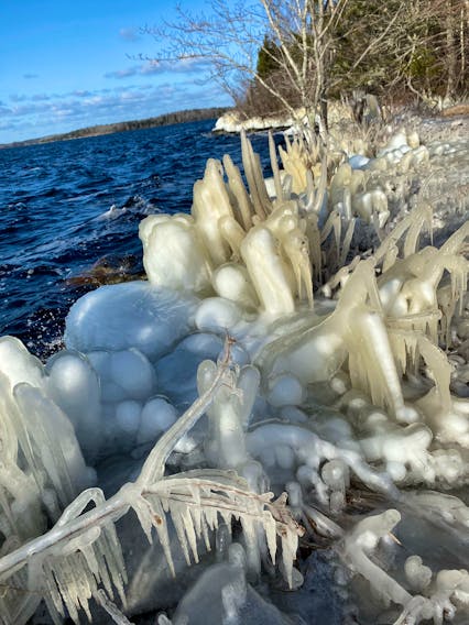 Ice is good in a drink, bad on the roads and beautiful in nature. Joanne LeBlanc captured these stunning photos one cold afternoon last week on the shores of Lake Vaughan in Gavelton, N.S.
