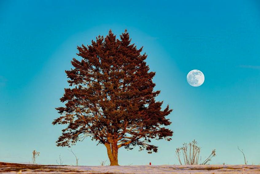 Barry Burgess watched as the stunning "almost" Full Wolf Moon rose above the horizon at 4 p.m. last January 27th.  The Moon was officially full the next day; it came up in the east as the sun lowered in the western sky.