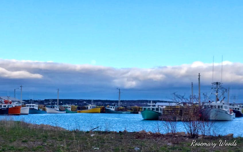The ring of clouds on the horizon looks like a protective arm guarding the lobster boats. They were lined up and ready for another season when Rosemary Woods came across this very Maritime setting at Ballast Grounds in North Sydney, N.S. Rosemary and I would like to wish everyone a safe and prosperous season.