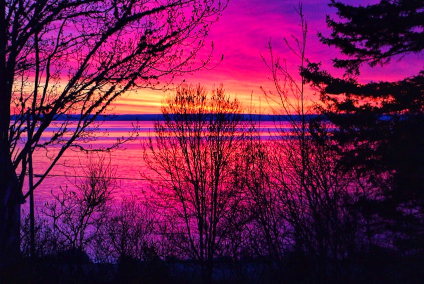 Better than a jolt of caffeine! Imagine stepping out of the house to this!  Kathy Haslam opened her front door at Mill Cove, St Margaret's Bay, N.S. and was greeted by this stunning display of predawn pastels.