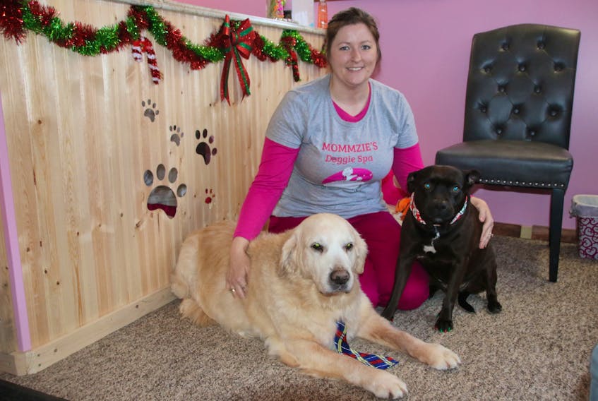 Stephanie Vissers recently opened Mommzie’s Doggie Spa, in Bible Hill. Her own dogs, Abby, left, and Noah, often join her at the spa.