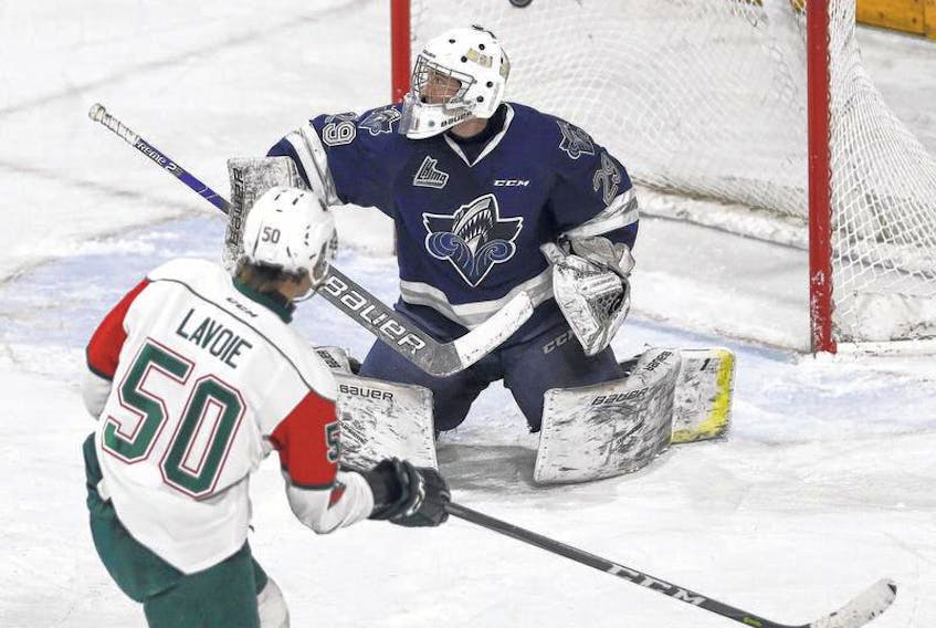Halifax Mooseheads’ Raphael Lavoie, shown scoring on Rimouski Oceanic netminder Colten Ellis during a QMJHL game last season, was invited to Hockey Canada’s world junior selection camp along with teammate Jared McIsaac and Boston University’s Shane Bowers of Halifax.