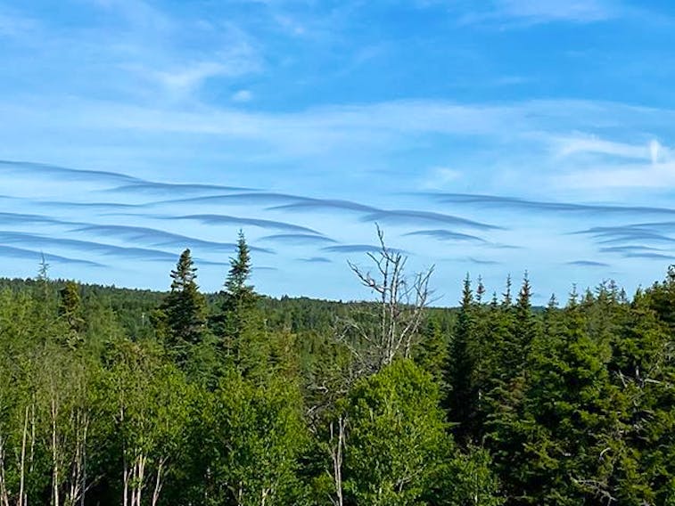 It’s a … bird? No, it’s not. These are Asperitas clouds taken by Marilyn Cottingham Shinyei between Saint John and Blacks Harbour, N.B.

The cloud name is from Latin, meaning 'to make rough' and refers to the turbulent and choppy undersides of the clouds. They indicate instability in the air and are sometimes seen ahead of distant thunderstorms.