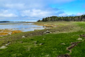 Three parcels of land, totalling 48 hectares (117 acres) at Roberts Island, have been purchased by the Nature Conservancy of Canada.