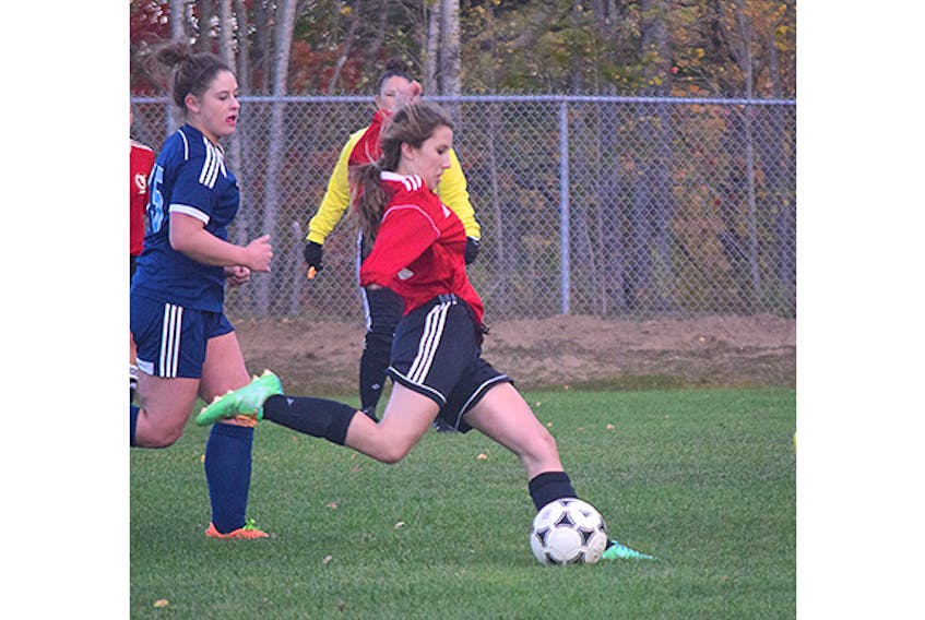 An NHRS Nighthawk is shown in action Wednesday against the NEC Gryphons.