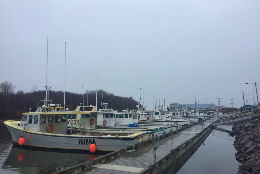 32 fishing boats line the floating docks at Lismore Wharf one week ahead of setting day on April 29.