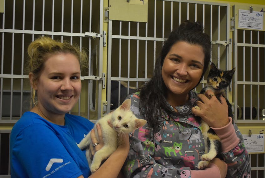 Danielle O'brien and Brittany Weeb holding Maisie and Paisley at the Pictou SPCA shelter. All proceeds from the Kathy Skoke-Fortin Memorial Golf Tournament will go to the shelter.