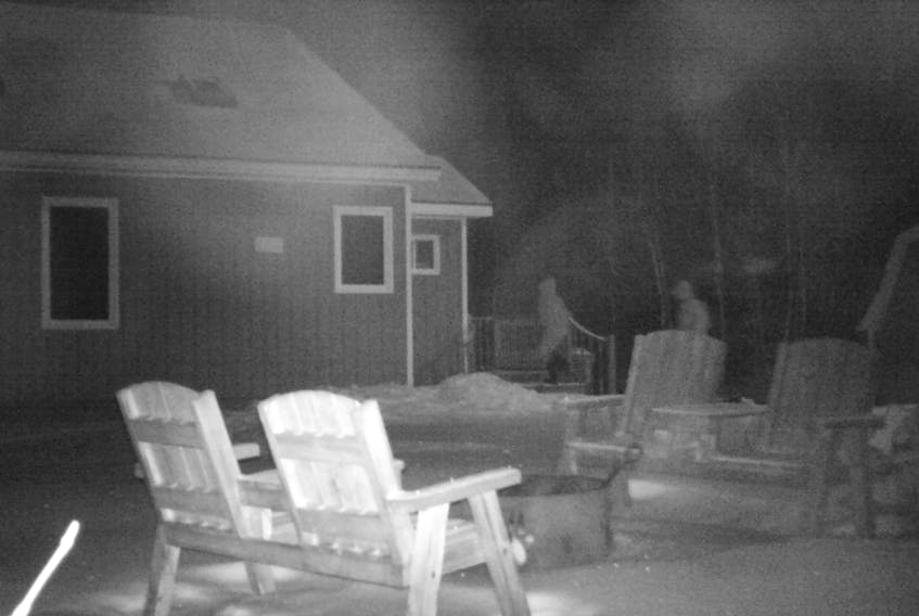 RCMP have released a photo of two people entering a home on Dean Settlement Road in Trafalgar this past Sunday. Police believe the two entered the home illegally and set fire to it when they left the residence. The home and its belongings have been destroyed and its owner is hoping someone will come forward with information about the suspicious fire.
