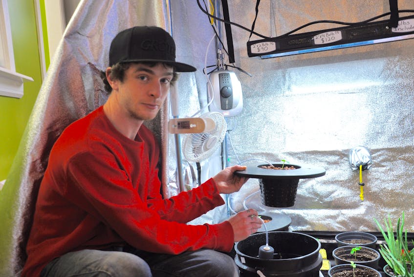 Dustin Gurthro, owner of Gardenhub in New Glasgow shows off an indoor growing tent and hydroponic bucket.