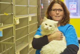Margaret Harris of the Pictou County SPCA, with Casper, one of the many pets up for adoption at the shelter.