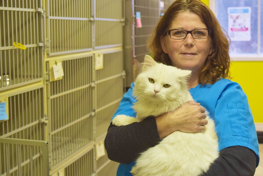 Margaret Harris of the Pictou County SPCA, with Casper, one of the many pets up for adoption at the shelter.
