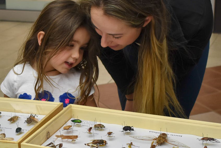 Wynn Kondracki and her mother Bethany admire some of the many insects in the collection of Lloyd and Sandy Hollett at Highland Square Mall on Monday afternoon.