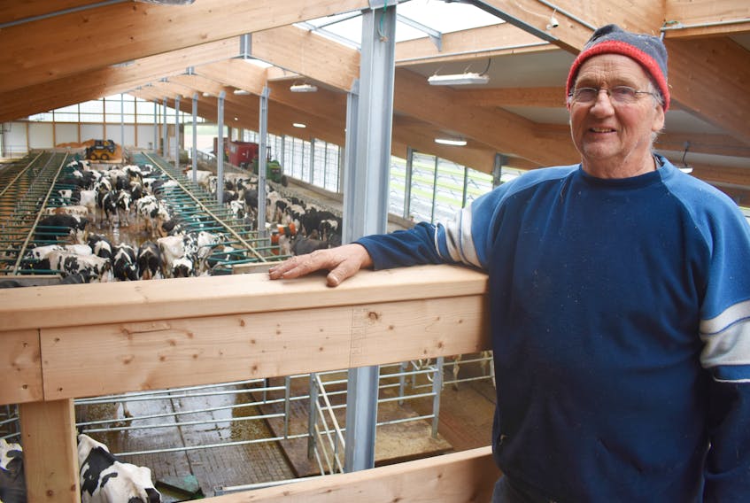William Ferguson stands inside the new dairy barn he and his family built on their farm in Bayview, Pictou County. It is designed to provide natural light and abundant ventilation for the animals.
