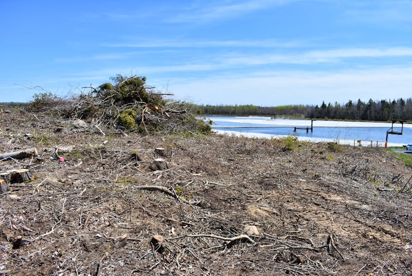 This section of land next to the current Boat Harbour Treatment Facility has been cleared in preparation for the construction of infrastructure needed to conduct pilot testing for the remediation project.