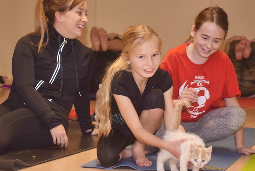 Tara Bates, left, Lilly Fraser and Teagan McInnis have some fun with one of the kitties at Kitten Yoga, which was held on Wednesday in Lourdes.