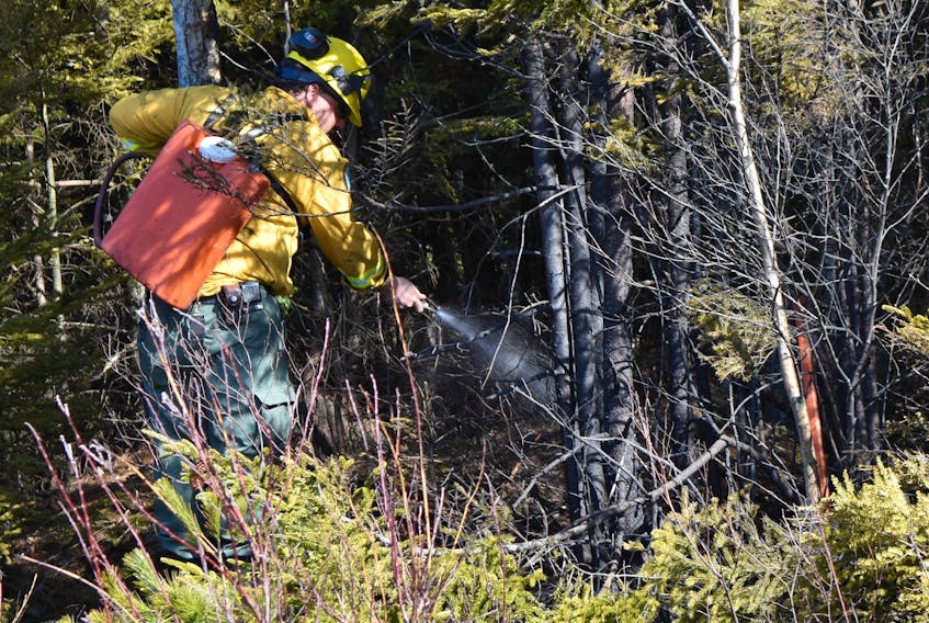 Dave Steeves with the Department of Natural Resources puts out the remnants of a fire burning near the Trenton Connector. It was one of seven called on along that particular stretch of road on Tuesday.