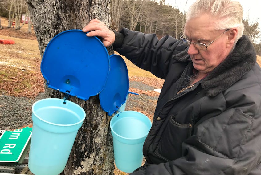 Jim Crawford shows The News a bucket where maple sap is collected at the LORDA park in Lansdowne on Saturday afternoon. Sales have been slow this year.